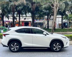 Lexus NX 200T 2018 - Màu trắng, xe nhập giá 1 tỷ 850 tr tại Tp.HCM