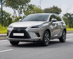 Lexus NX 300 2020 - Xe màu bạc giá 2 tỷ 450 tr tại Hà Nội