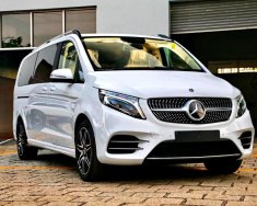 Mercedes-Benz V250 2023 - Ưu đãi hấp dẫn + Nhiều quà tặng giá 3 tỷ 669 tr tại Tp.HCM