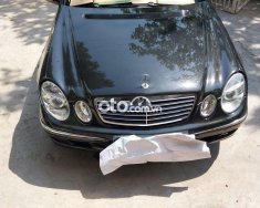 Mercedes-Benz E240 Bán mec e240 nhập khẩu nguyên chiếc từ đức 2006 - Bán mec e240 nhập khẩu nguyên chiếc từ đức giá 245 triệu tại Tp.HCM