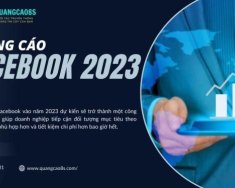 Hyundai Excel GLX Sportz 2020 - Quảng cáo facebook uy tín 2023 giá 20 tỷ tại Tp.HCM