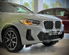 BMW X4 2022 - Hót, ưu đãi cực tốt tại Bình Dương giá 3 tỷ 679 tr tại Bình Dương