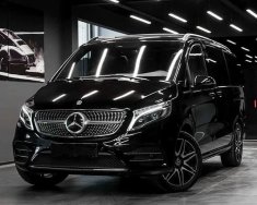 Mercedes-Benz V250 2022 - 01 xe duy nhất giao ngay hot nhất thị trường giá 3 tỷ 669 tr tại Tp.HCM