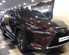 Lexus NX 300 2020 - Xe gia đình ít sử dụng còn thơm mùi xe mới giá 1 tỷ 980 tr tại Tp.HCM