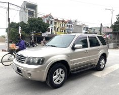 Ford Escape 2008 - Tư nhân chính chủ mua mới từ đầu giá 228 triệu tại Bắc Ninh