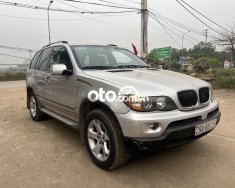 BMW X5   sx 2004 dkld 2008 2004 - bmw x5 sx 2004 dkld 2008 giá 225 triệu tại Lâm Đồng