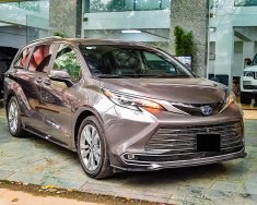 Toyota Sienna 2020 - Màu xám đặc biết hiếm có tại VN giá 4 tỷ 150 tr tại Hà Nội