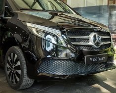 Mercedes-Benz V250 2023 - Mercedes Haxaco Láng Hạ chào bán giá tốt nhất thị trường !!! giá 3 tỷ 309 tr tại Hà Nội