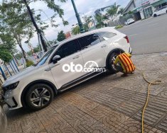 Kia Sorento   Premium Dầu 2.2D 2022 - Kia Sorento Premium Dầu 2.2D giá 1 tỷ 120 tr tại Tây Ninh