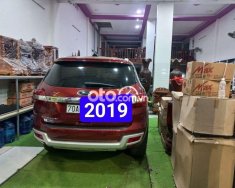Ford Everest Xe gia đình   2019,đỏ, 1 cầu bản full, 2019 - Xe gia đình Ford everest 2019,đỏ, 1 cầu bản full, giá 870 triệu tại Tây Ninh