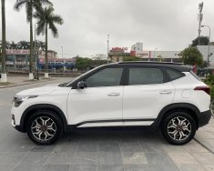 Kia Seltos 2021 - Màu trắng, nhập khẩu giá 690 triệu tại Thái Bình