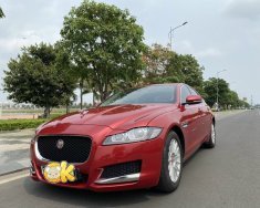 Jaguar XF 2016 - Sedan 5 chỗ cực rộng giá 1 tỷ 200 tr tại Tp.HCM