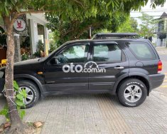 Ford Escape Bán   2.0 mt 2004 - Bán Ford Escape 2.0 mt giá 145 triệu tại Quảng Nam