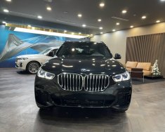 BMW X5 2022 - Giá tốt nhất tháng 4, ưu đãi tiền mặt đến 120tr, tặng bảo hiểm vật chất 1 năm giá 3 tỷ 799 tr tại Hà Nội