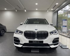 BMW X5 2022 - Giảm sâu 150tr, tặng 1 năm bảo hiểm vật chất, giao ngay cho khách hàng giá 4 tỷ 19 tr tại Hà Nội