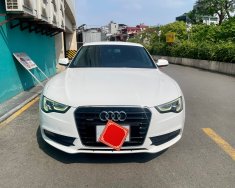 Audi A5 2015 - Xe không 1 lỗi nhỏ giá 725 triệu tại Hà Nội