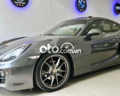 Porsche Cayman siêu phẩm cực hiếm *** thị trường 2013 - siêu phẩm cực hiếm *** thị trường giá 2 tỷ 699 tr tại Tp.HCM