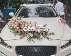 Jaguar XE   đời cuối 2015, màu trắng, máy zin 2015 - Jaguar XE đời cuối 2015, màu trắng, máy zin giá 1 tỷ 50 tr tại Hà Nội