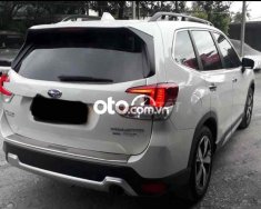 Subaru Forester   2.0 I SES 2019 2019 - subaru forester 2.0 I SES 2019 giá 700 triệu tại Tp.HCM