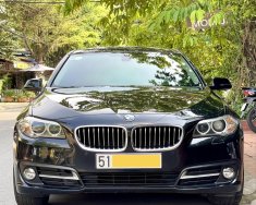 BMW 520i 2016 - Phiên bản Special Edition, trang bị full option giá 925 triệu tại Tp.HCM