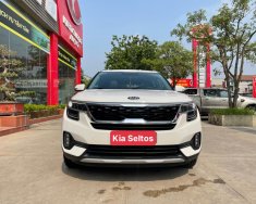 Kia Seltos 2021 - Màu trắng, giá 630tr giá 630 triệu tại Vĩnh Phúc