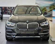 BMW X5 2022 - Ưu đãi cực số tháng 6, giảm mấy trăm triệu tiền mặt, quà tặng cực nhiều cho khách giá 3 tỷ 689 tr tại Tp.HCM