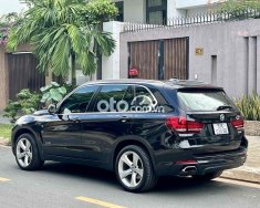 BMW X5   Model 2018 2017 - BMW X5 Model 2018 giá 1 tỷ 530 tr tại Tp.HCM