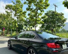 BMW 528i  528i dkld 2010 2010 - bmw 528i dkld 2010 giá 485 triệu tại Tp.HCM