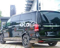 Mercedes-Benz V250 🔴Mercedes V250 AMG Đủ Màu - Nhập Khẩu Giao Ngay 2023 - 🔴Mercedes V250 AMG Đủ Màu - Nhập Khẩu Giao Ngay giá 3 tỷ 669 tr tại Tp.HCM