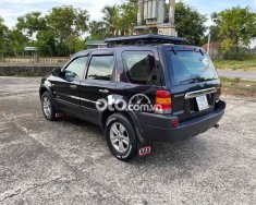 Ford Escape 5 chỗ gầm cao bán hoặc giao lưu xe nhỏ hơn 2004 - 5 chỗ gầm cao bán hoặc giao lưu xe nhỏ hơn giá 110 triệu tại Quảng Nam