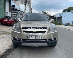 Chevrolet Captiva Bán xe  2011 LTZ max 59 ngàn như xe mới 2011 - Bán xe captiva 2011 LTZ max 59 ngàn như xe mới giá 298 triệu tại Tp.HCM