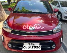 Kia Soluto  11/2020 tự động 19.000km như mới ạ 2020 - soluto 11/2020 tự động 19.000km như mới ạ giá 368 triệu tại TT - Huế
