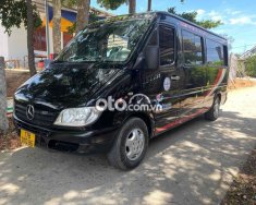 Mercedes-Benz Sprinter printer 313 16 chổ 2009 - printer 313 16 chổ giá 155 triệu tại TT - Huế