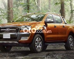 Ford Ranger Bán xe  bán tải 2017 - Bán xe Ford bán tải giá 615 triệu tại Bình Định