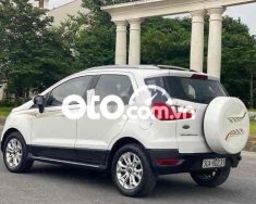 Ford EcoSport  2015 Titanium 2015 - EcoSport 2015 Titanium giá 350 triệu tại Hải Dương