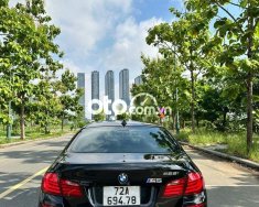 BMW 528i  528i  F10 2010 2010 - BMW 528i 5 SERIES F10 2010 giá 430 triệu tại Tp.HCM