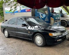 Honda Accord bán   máy chất 1997 - bán honda accord máy chất giá 68 triệu tại Tp.HCM