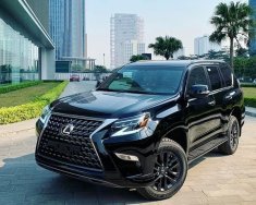 Lexus GX 460 2023 - Lexus GX 460 2023 tại Tp.HCM giá 69 triệu tại Tp.HCM