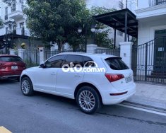 Audi Q5 Bani xe   2011 - Bani xe Audi Q5 giá 400 triệu tại Hà Nội