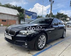 BMW 520i  520i MODEL 2017 ĐEN NÂU CỰC HIẾM 2016 - BMW 520i MODEL 2017 ĐEN NÂU CỰC HIẾM giá 779 triệu tại Đồng Nai