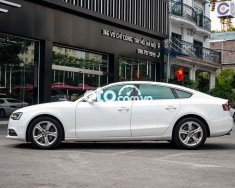 Audi A5 Bán gấp   sport back sx 2016 đi 71.000km zin 2016 - Bán gấp Audi A5 sport back sx 2016 đi 71.000km zin giá 810 triệu tại Hà Nội