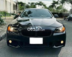 BMW 528i  528i xe đẹp không lỗi cần bán 2010 - bmw 528i xe đẹp không lỗi cần bán giá 495 triệu tại Tp.HCM