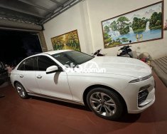 VinFast LUX A2.0  Gia Đình chính chủ 2021 - VinFast Gia Đình chính chủ giá 540 triệu tại Bắc Giang