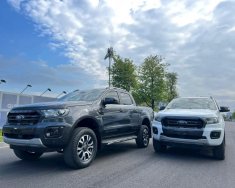 Ford Ranger 2019 - Hỗ trợ vay bank 70% giá 650 triệu tại Thái Bình