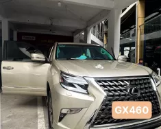 Lexus GX460 2016 - Lexus GX460 Model 2016 đã ốp trọn gói nguyên con 2022 giá 2 tỷ 680 tr tại Tp.HCM