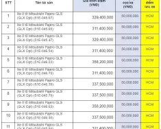 Mitsubishi Pajero 2023 - Ngân hàng TMCP Kỹ Thương Việt Nam  (Techcombank) thông báo thanh lý tài sản tại Techcombank 23 Lê Duẩn – Quận 1 – Hồ Chí giá 329 triệu tại Tp.HCM