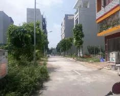 Nissan Datsun 1000 - nissan datsun1000 tại ngọc hồi - kon tum giá 55 tỷ tại Kon Tum