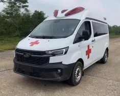 Ford Transit 2024 - Bán xe Ford Transit 2024 máy dầu nhập khẩu. giá 870 triệu tại Hà Nội