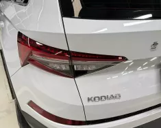 Hãng khác Khác 2024 - Chính chủ bán xe Skoda sản xuất năm 2024 giá 1 tỷ 80 tr tại Bình Dương