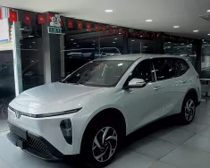 Hãng khác Khác 2026 - Vinfast Limo Green 2026  623 Triệu Nhận Xe Ngay giá 623 triệu tại Tp.HCM
